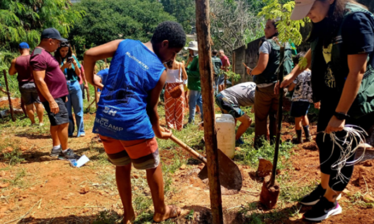 O trabalho conta com a participação da comunidade local e faz parte de uma ação da PBH com o objetivo de plantar mais 30 mil árvores em 2024 -  (crédito: PBH/Divulgação)