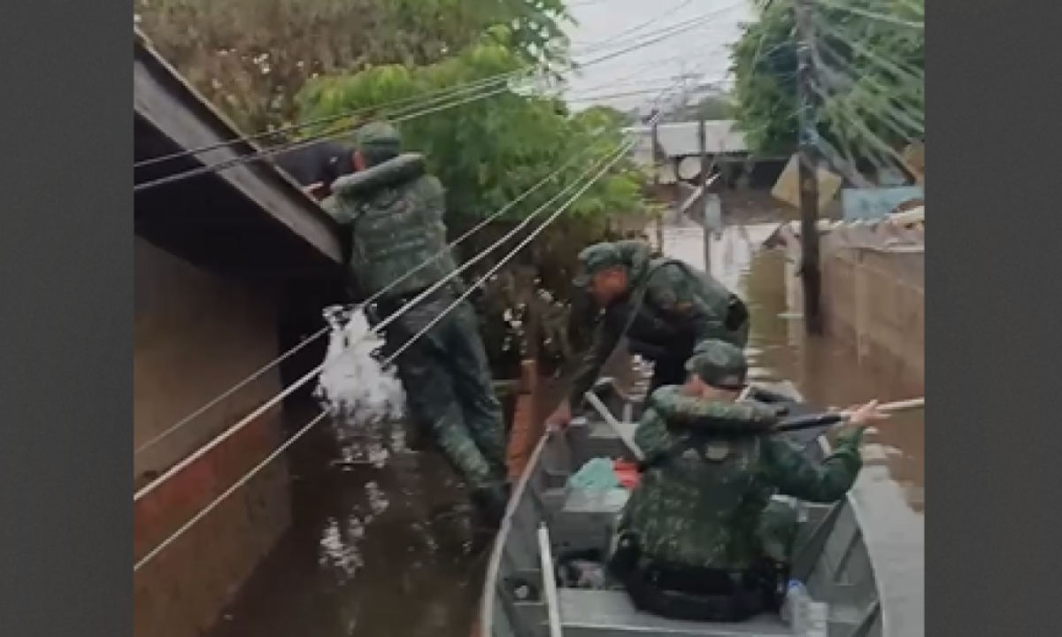 Militares mineiros resgatam cão no Rio Grande do Sul -  (crédito: PMMG/Divulgação)