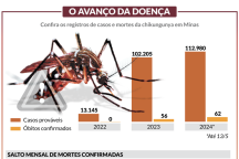 Mortes por chikungunya disparam em Minas
