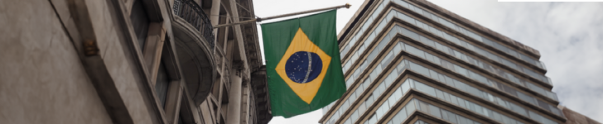 Agências especializadas oferecem serviços que simplificam e agilizam o caminho rumo à obtenção da cidadania brasileira em solo americano
