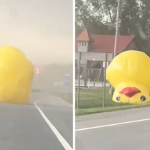 Pato inflável gigante atravessa rodovia e assusta motoristas - Reprodução / TikTok