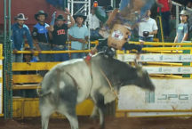 Vídeo mostra peão desmaiado e pisoteado por touro em rodeio em Minas