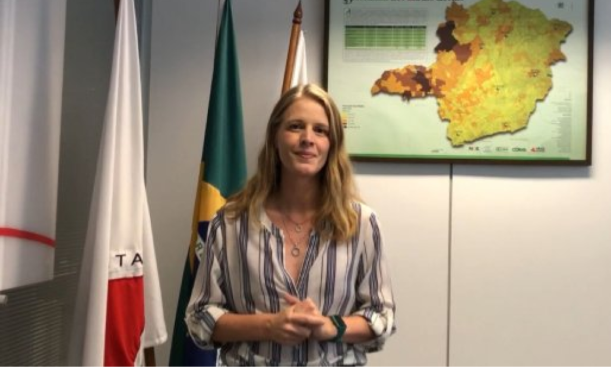 Luisa Barreto: 'Novo reajuste vai ter um impacto anual de R$ 570 milhões'