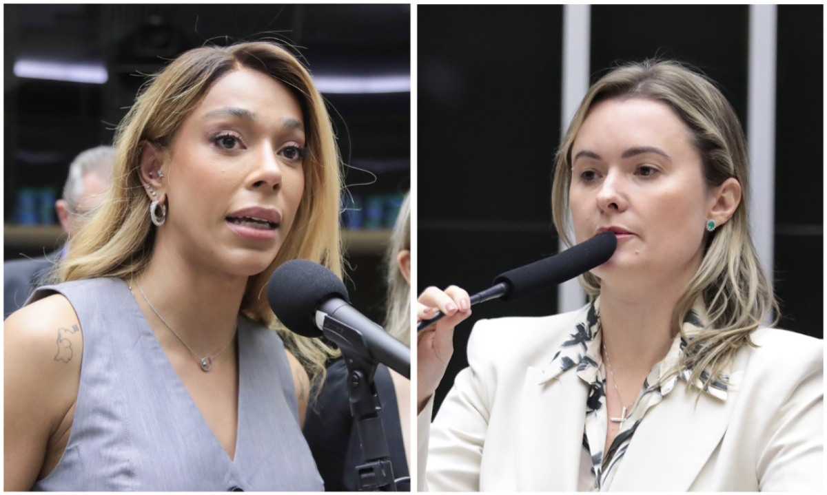 Deputada Erika Hilton disparou ofensas à deputada bolsonarista -  (crédito: Zeca Ribeiro/Câmara dos Deputados)