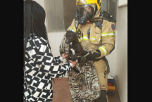 Cachorro esconde embaixo de cama durante incêndio e bombeiros o resgatam