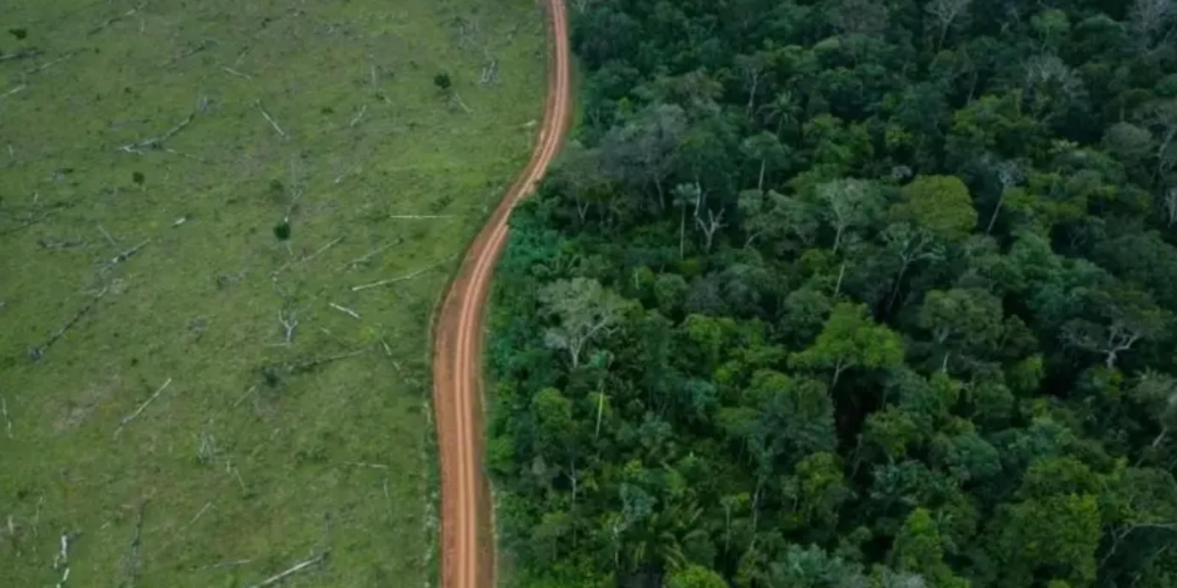 Como rodovia que liga Amazônia ao resto do país divide o governo Lula