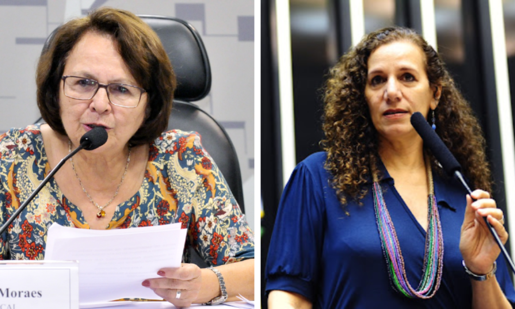 Jô Moraes e Jandira Feghali miram participação feminina na política de MG
