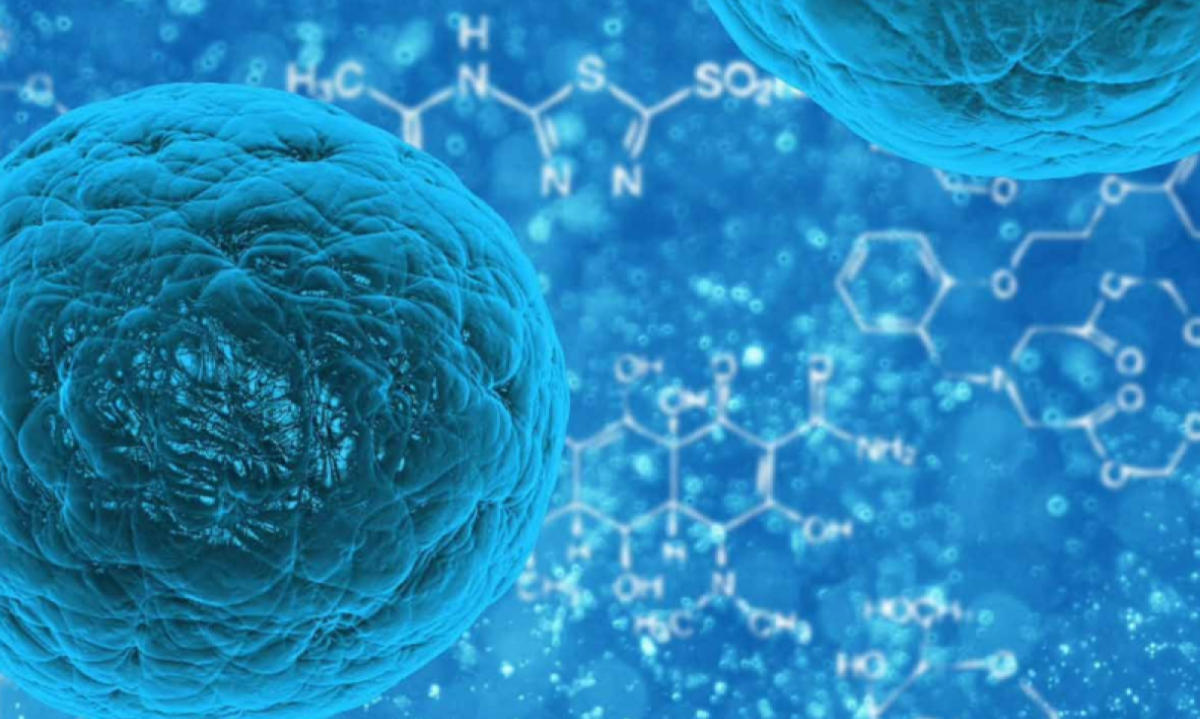 Recentemente, a ciência vem desenvolvendo outras terapias celulares, além do transplante de células-tronco hematopoéticas -  (crédito: Anvisa/ Reprodução)