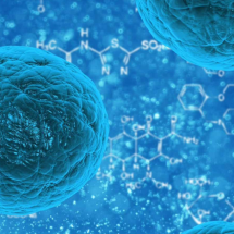 4 mitos sobre o uso de células-tronco - Anvisa/ Reprodução
