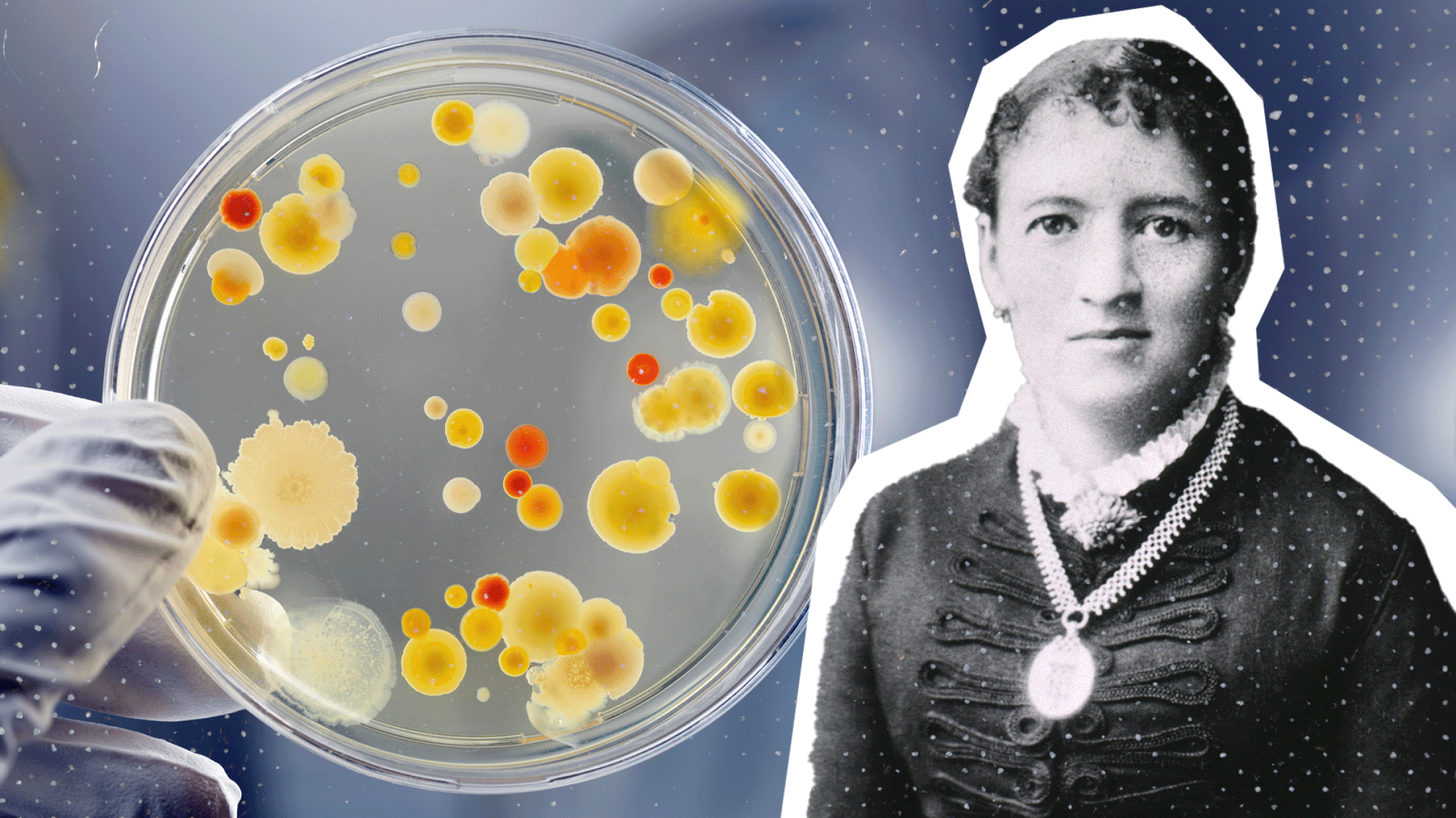 Fanny Angelina Hesse: a mulher que revolucionou a microbiologia com um ingrediente de cozinha