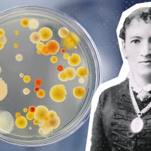 Fanny Angelina Hesse: a mulher que revolucionou a microbiologia com um ingrediente de cozinha - Getty Images