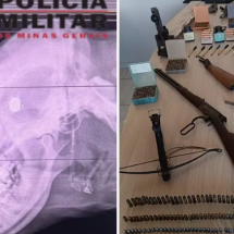 Militar do Exército suspeito de matar cadela é preso no interior de MG - Rede de Noticias