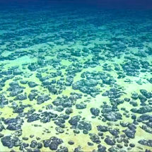 Cientistas descobrem ‘oxigênio negro’ no fundo do mar - AssociaÃ§Ã£o Escocesa para CiÃªncias Marinhas