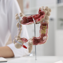 Adrian Bester lança curso on-line de modulação intestinal - DINO