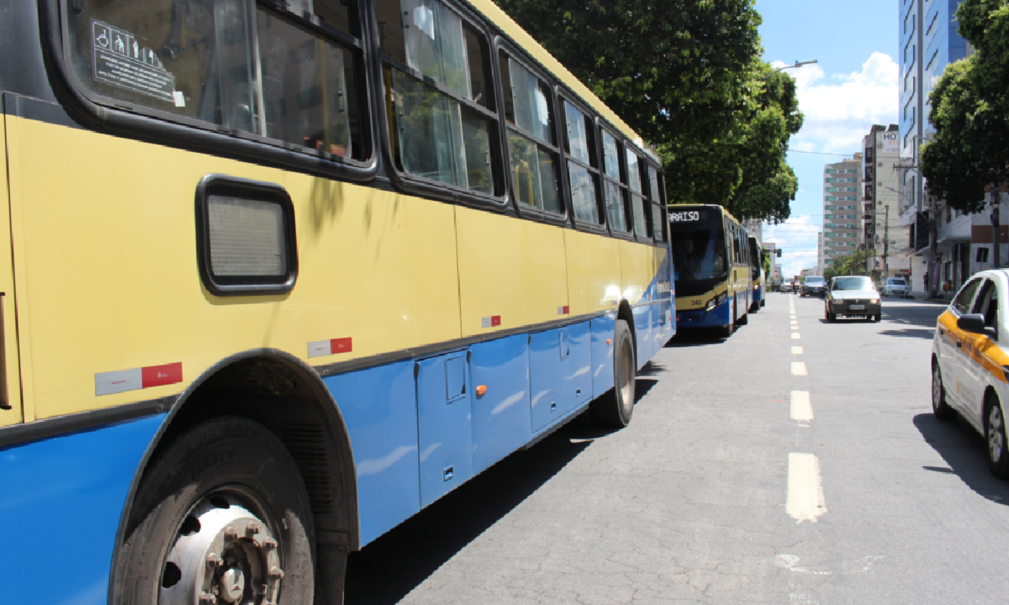 Jovem inventa assalto após perder cartão de vale-transporte