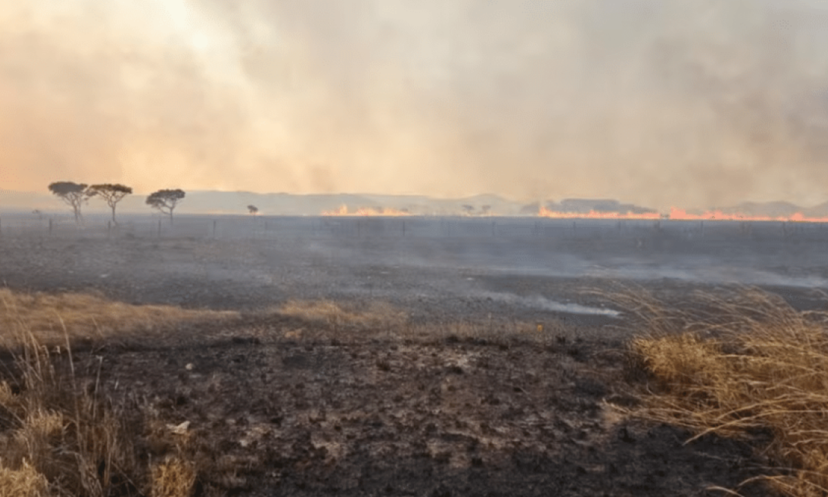Chapada dos Veadeiros, em Goiás, está sofrendo com queimada há quatro dias -  (crédito: Divulgação/PNCV)