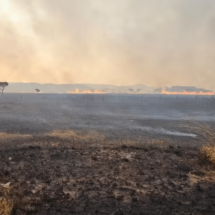 Incêndio queima 10 mil hectares do Parque da Chapada dos Veadeiros