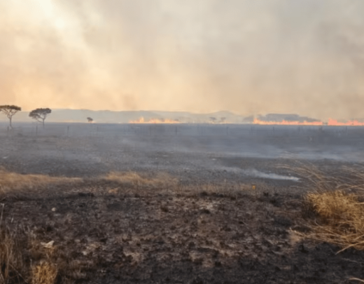 Chapada dos Veadeiros, em Goiás, está sofrendo com queimada há quatro dias -  (crédito: Divulgação/PNCV)