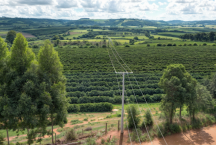 Áreas rurais de Minas recebem energia mais eficiente e confiável da Cemig