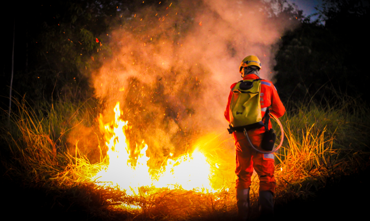 Divinópolis lidera ranking de incêndios em vegetação no estado -  (crédito: Rede de Noticias)