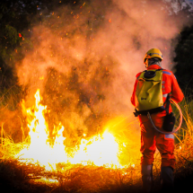 Divinópolis lidera ranking de incêndios em vegetação no estado - Rede de Noticias