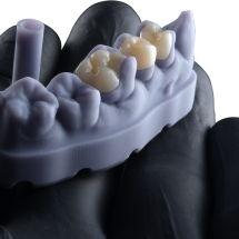 FGM Dental Group e dOne 3D apresentam a Voxelprint Ceramic - DINO