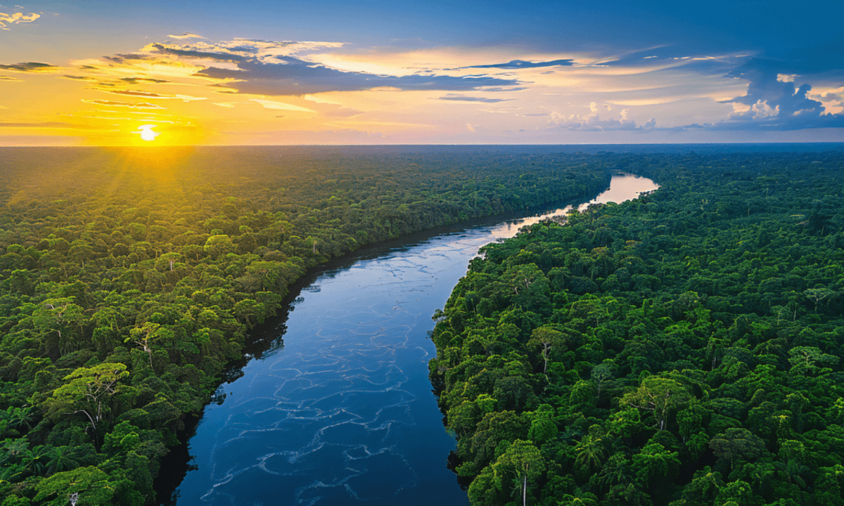 Amazônia é foco de conferência internacional em novembro -  (crédito: DINO)