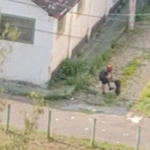 Vídeo flagra adestrador agredindo pitbull em Canil Municipal de JF - Reprodu&ccedil;&atilde;o / Redes Sociais
