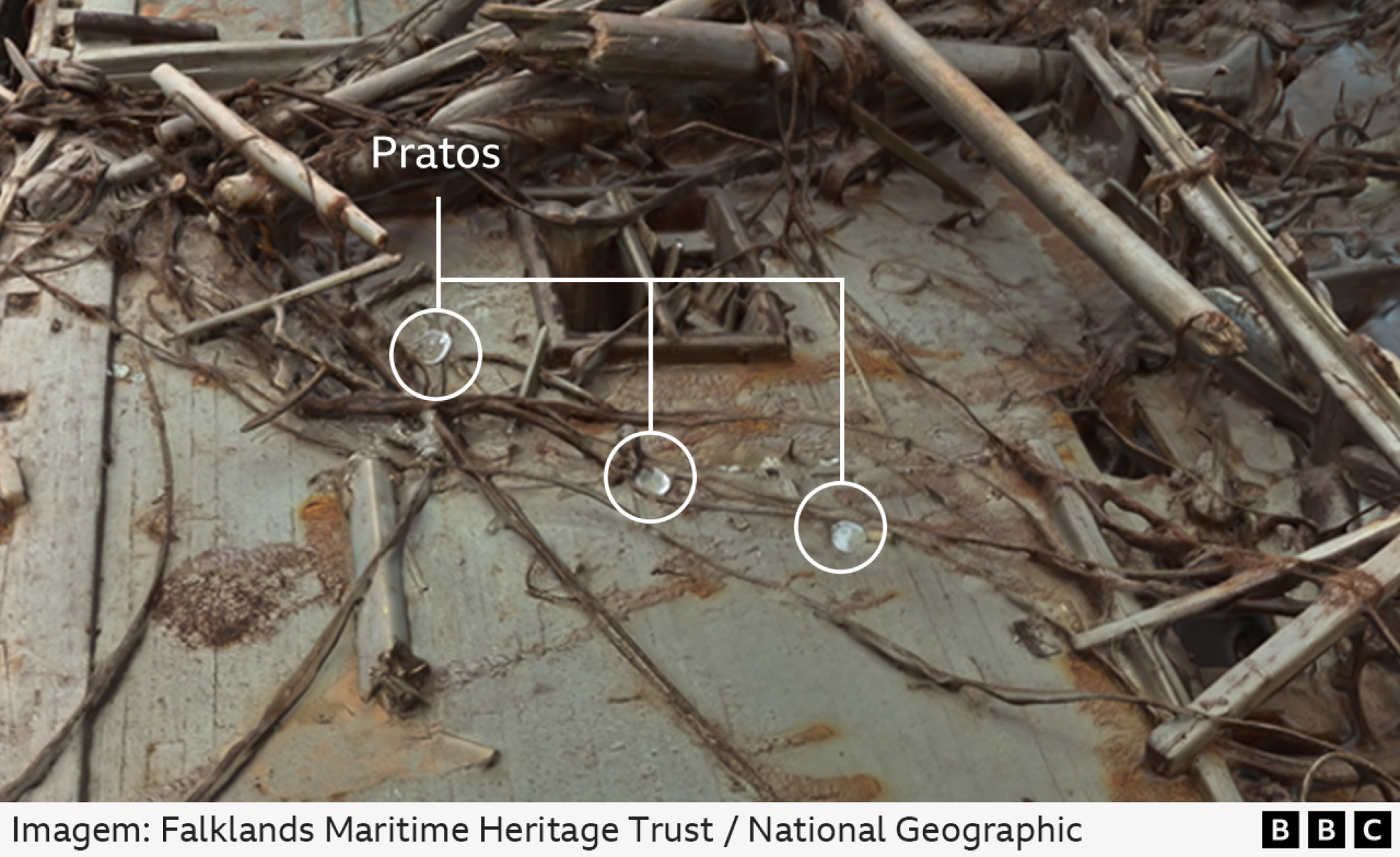 As incríveis imagens do lendário navio naufragado de Shackleton, que afundou em 1915 na Antártida