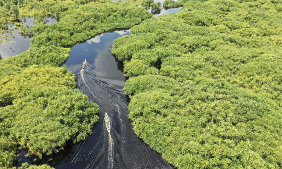 Belterra, na Amazônia, quer ser a 