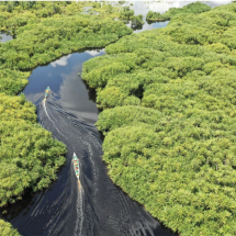 Belterra, na Amazônia, quer ser a "Machu Picchu brasileira" - DINO