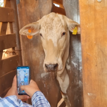 MUU firma parceria com a Secretaria de Agricultura de SP - DINO