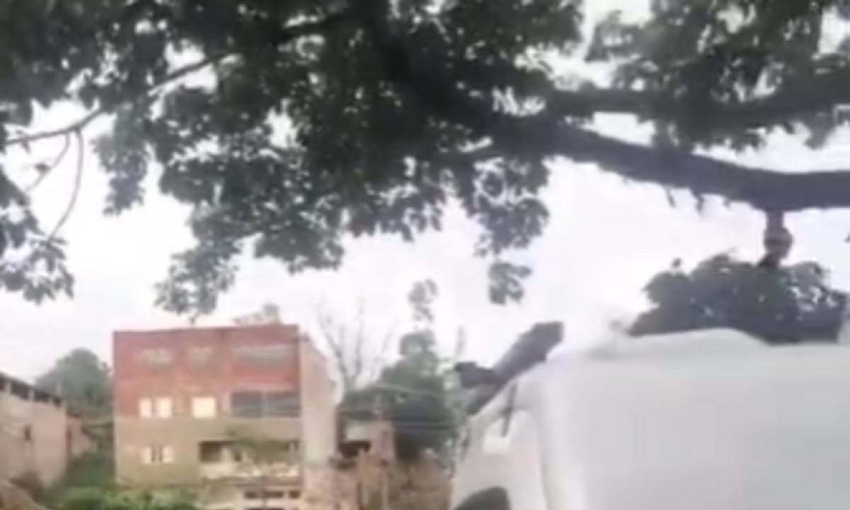 Moradores registram momento em que os suspeitos são capturados pelos policiais penais -  (crédito: Reprodução/redes sociais )