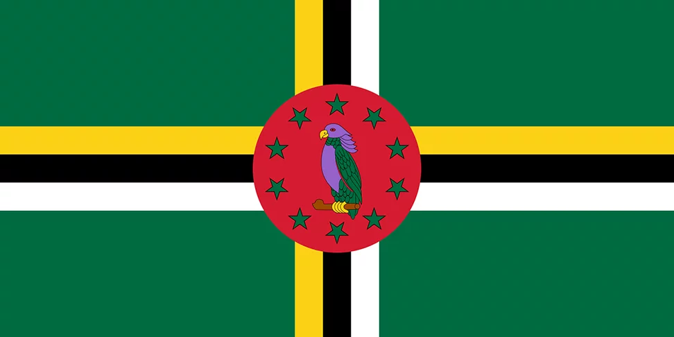 A cor roxa só existe numa bandeira: a de Dominica.  A cor está no peito e na cabeça do papagaio imperial.