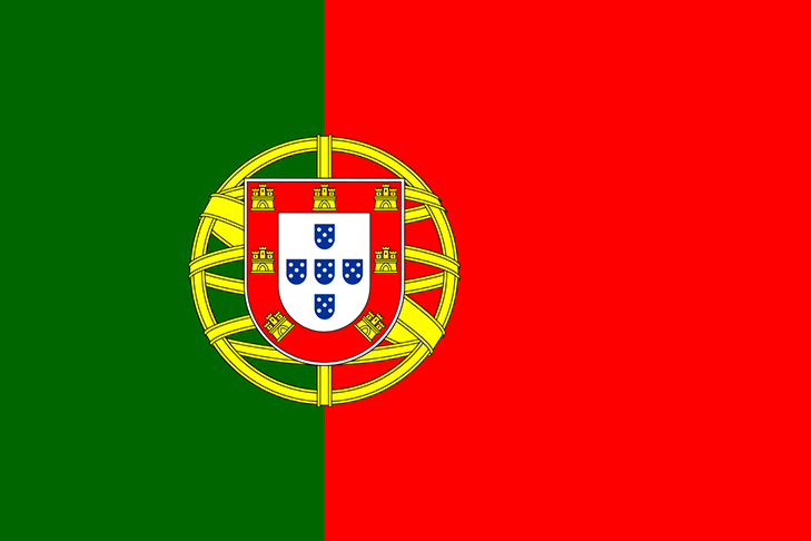 A bandeira de Portugal é a única que inclui um objeto científico. Por trás do escudo, está uma esfera armilar.