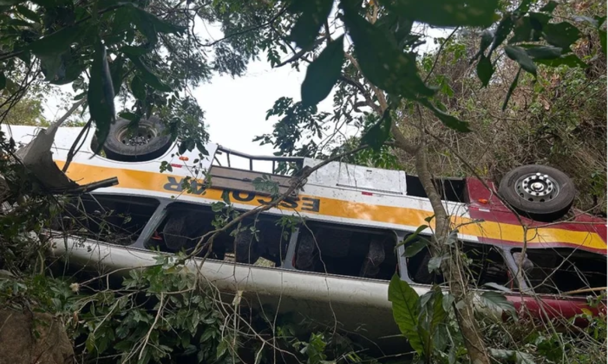 Ônibus caiu de ribanceira -  (crédito: Reprodução)