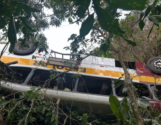 Ônibus ficou em uma área de mata  -  (crédito: Reprodução)