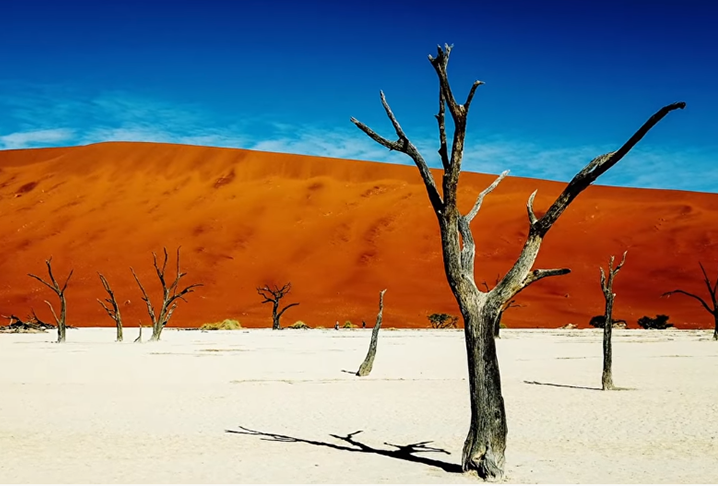  Deadvlei (Namíbia) - Bacia de argila branca localizada no Parque Namib-Naukluft. Tem as maiores dunas do mundo. A Big Daddy alcança incríveis 400 metros de altura. A paisagem parece pintura porque, contrastando com a argila branca, ficam dunas em tom laranja, árvores espinho de camelo petrificadas e o céu de um azul bem vibrante. 