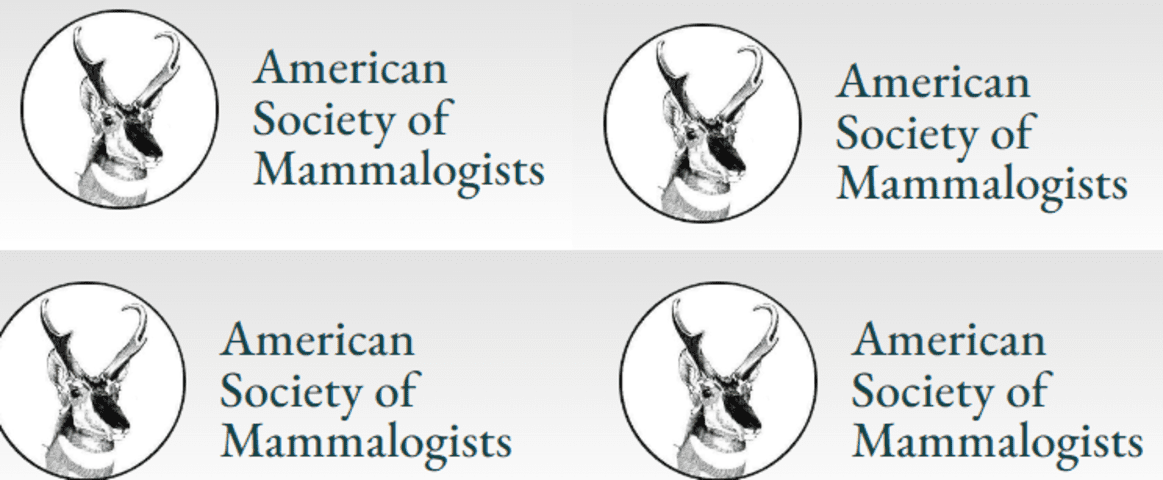 Uma outra notícia sobre cervos chamou atenção recentemente. 
Pesquisadores peruanos descobriram uma nova espécie de cervo que habita o país. Eles publicaram as conclusões no Journal of Mammalogy, da American Society of Mammalogists. Eles pensavam que esse animal seria de uma espécie já catalogada, a padu mephistophiles. Mas encontraram diferenças e a classificaram como pudella carlae.