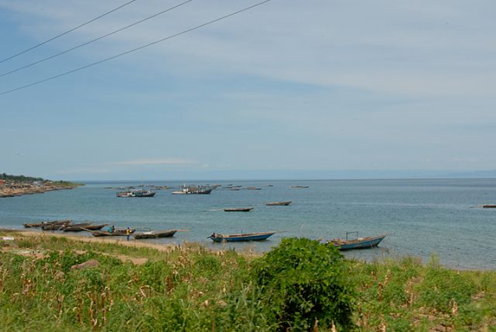 Milhões de pessoas dependem do Tanganica para seu sustento. Entre elas, quase cem mil pescadores. O lago se destaca por sua biodiversidade, já que conta com mais de 1.500 espécies de animais e plantas como, por exemplo, os crocodilos do Nilo, garoupas gigantes, medusas de água doce e enguias .