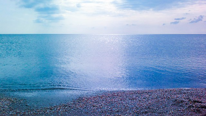 Já em 2015, ambientalistas alertavam para a necessidade da preservação do lago, afetado pela poluição produzida pelos habitantes do entorno. A área tem 1.800 espécies de animais e 720 de plantas. 