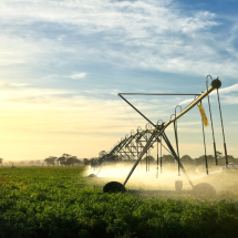 MTR SOLAR leva solução de autonomia de energia para o Agro - DINO