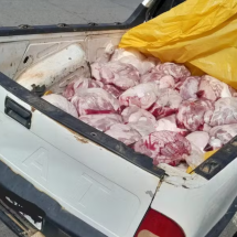 MG: quase meia tonelada de carne é apreendida em caçamba de caminhonete - Divulga&ccedil;&atilde;o / Pol&iacute;cia Militar Rodovi&aacute;ria