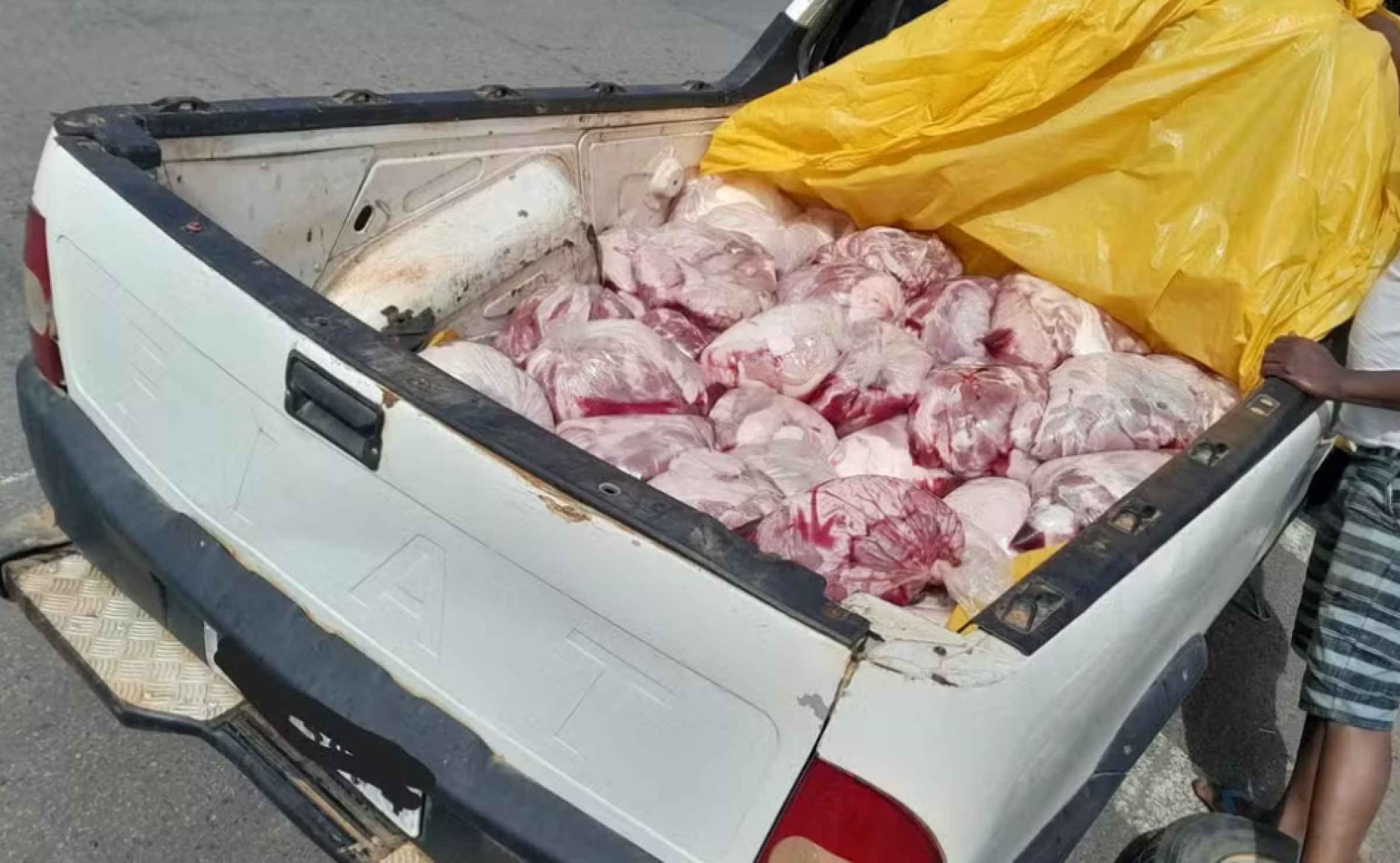 MG: quase meia tonelada de carne é apreendida em caçamba de caminhonete