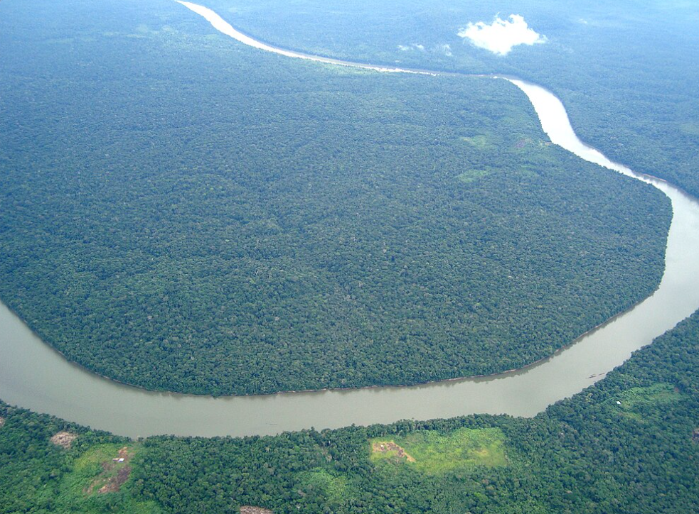 Entre as florestas tropicais do mundo, nenhuma supera a biodivesidade presente na Amazônia. A descoberta de novas espécies de plantas e animais acontece ainda nos dias atuais. 

