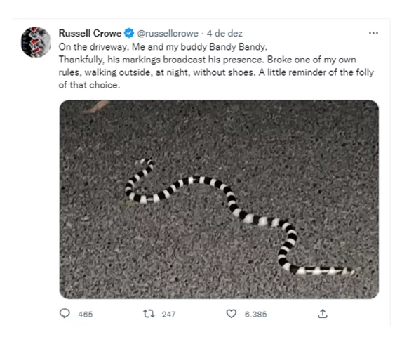 O ator quase tropeçou em uma serpente venenosa enquanto caminhava à noite do lado de fora de sua casa, na Austrália. Ele até compartilhou uma foto da cobra nas redes sociais.