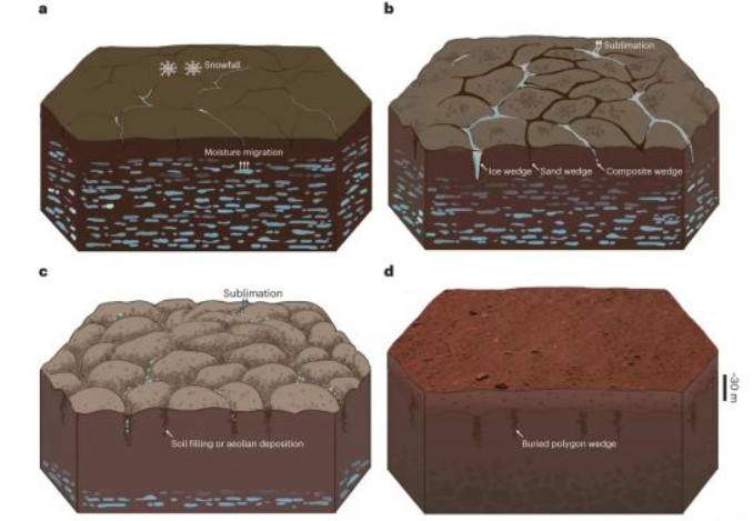 Os pesquisadores identificaram 16 dessas estruturas distribuídas em uma extensão de 1,2 km A descoberta indica uma presença mais ampla de terrenos semelhantes em Utopia Planitia, a vasta planície onde o rover Zhurong fez seu pouso.