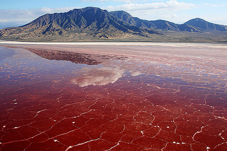 Lago Natron (Tanzânia) - É um lago de água salgada e alcalina, perto da fronteira com o Quênia, no Grande Vale do Rifte. Foi formado pela movimentação de placas tectônicas e tem 3m de profundidade.