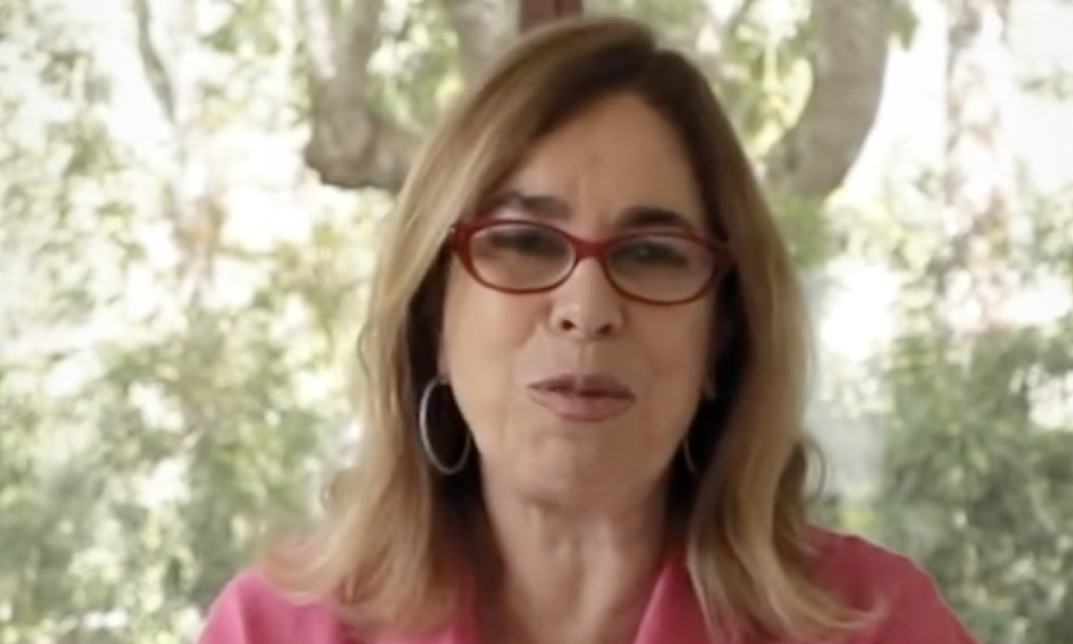 Historiadora Mary Del Priore lançará biografia inédita de Chica da Silva em 2025 -  (crédito: Platobr)