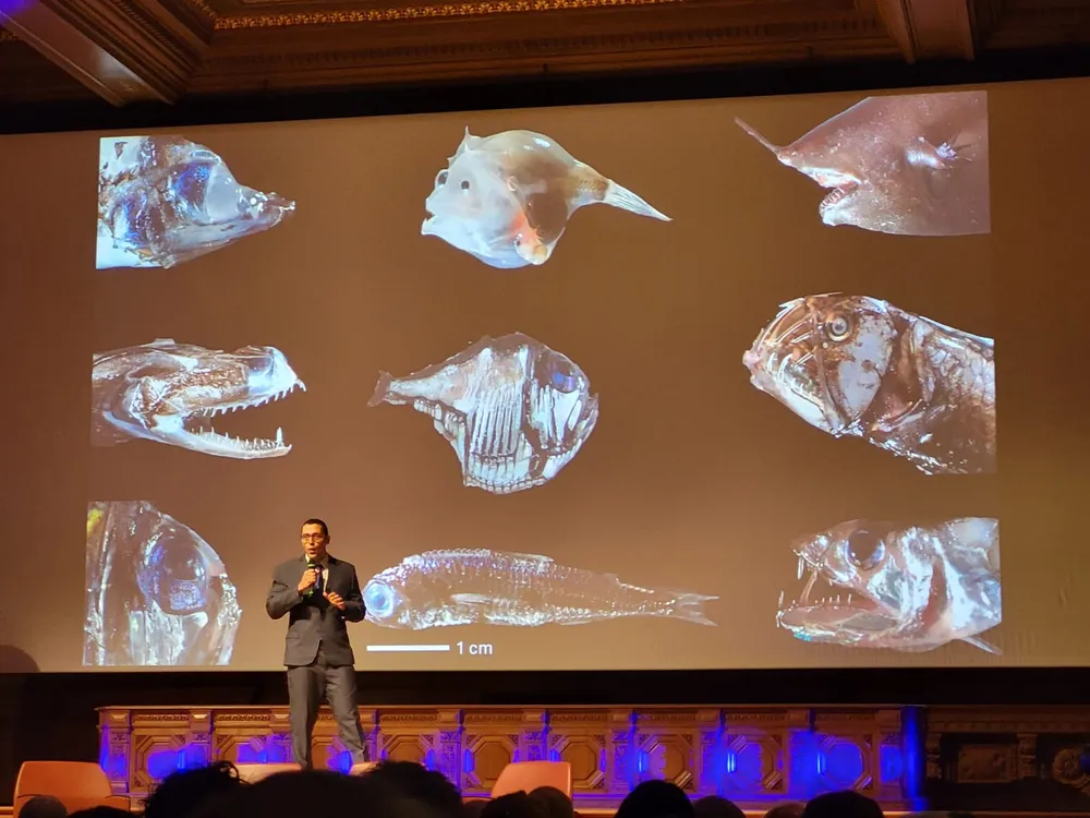 Dessa forma, os  trabalhos se estenderam da superfície até 1.100 metros de profundidade e os pesquisadores conseguiram coletar cerca de 9 mil exemplares de peixes, identificando mais de 200 espécies.